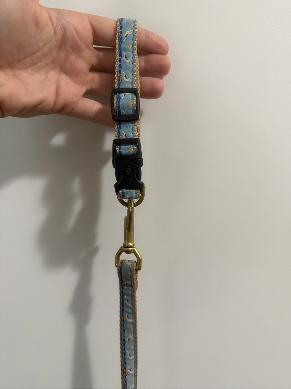 Light Blue Dog Leash with Brass Hardware